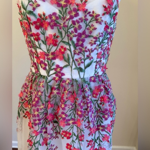 BCBG MaxAzria Gardenia Embroidered Tule Sleeveless Round Neck Dress Size 4 - Picture 7 of 9